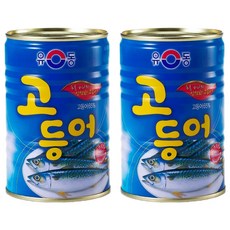 유동 고등어, 400g, 2개