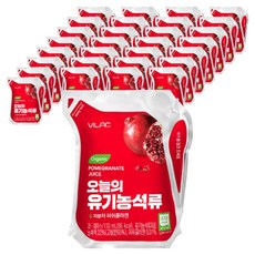 VILAC 今天的石榴, 110ml, 36個