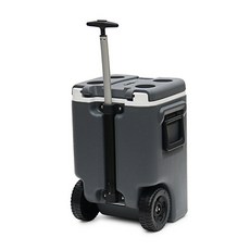 ICEMASTER 攜帶式保冷箱 25L, 木炭