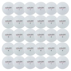 Kirkland 高爾夫二手球 經濟型, 30個, 白色