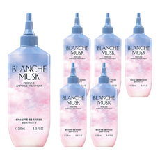 엘라스틴 퍼퓸 앰플 트리트먼트 블랑쉬 머스크향, 6개, 250ml