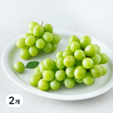 수플린 호주산 청포도, 2개, 1.5kg