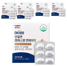 일동후디스 하이뮨 관절엔 엠에스엠 엔에이지 66g, 60정, 7개