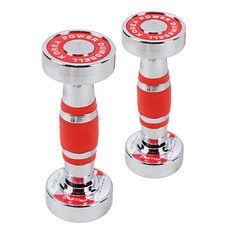 스포뱅크 고밀도 크롬도금아령, 1kg, 2개