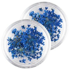 雙色蕾絲乾燥花美甲真押花, No 08 紫藍色, 2個