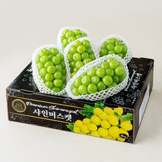 모두유통한반도 비파괴 당도선별 샤인머스캣, 1개, 4kg
