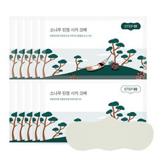 라운드랩 소나무 진정 시카 코팩, 5개입, 1개