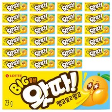 롯데웰푸드 빅풍선 왓따 맹고말고망고, 23g, 24개
