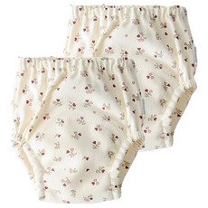 JOYMULTI 女童款奶油色檸檬恐龍圖案如廁訓練內褲, 愛心花, 2件