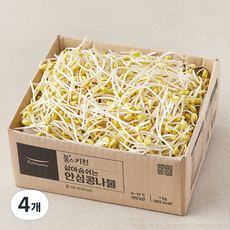 풀무원 풀스키친 살아숨쉬는 안심 콩나물, 1kg, 4개