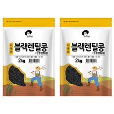 엉클탁 미국산 블랙렌틸콩 검정렌틸콩, 2kg, 2개