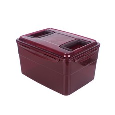 Xeonic 泡菜保鮮盒, 9L, 1組