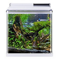 Amazon 一體式魚缸 AMZ-620F, 白色, 1個