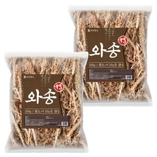 건강중심 건 와송, 200g, 2개