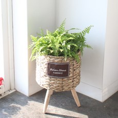 MORIANN 木腳圓形藤編籃花盆, 混合色