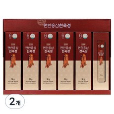 천제명홍삼 편한 홍삼 천옥정 30포, 300g, 2개