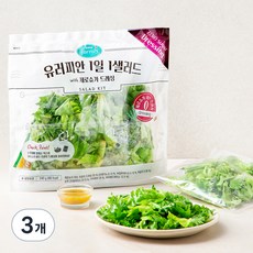 팜에이트 유러피안 1일 1샐러드 with 제로슈가 드레싱, 240g, 3개