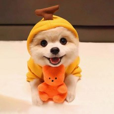 DING DONG PET 寵物可愛角色造型連帽大學T, 1個, 黃色