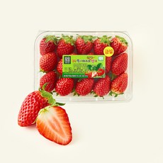 제이드가든 GAP 인증 대숲맑은 담양 금실 딸기, 1개, 500g(중과)