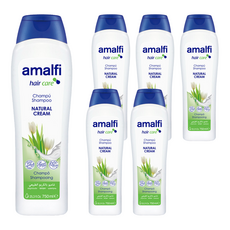 Amalfi 自然調理草本洗髮精 正常髮適用 不含矽靈 歐洲製造, 750ml, 6瓶