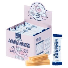 너티 강아지 하루루틴 스트레스제로껌
