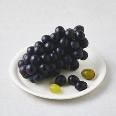 곰곰 씨없는 고당도 거봉 포도, 1개, 500g