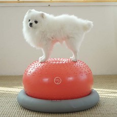 74.5°c 寵物健身球+支架