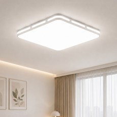 디앤케이 LED 자이 60W 셀프교체 방등, 주광색 흰빛 주광색 흰빛