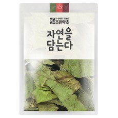조은약초 구지뽕 잎, 200g, 1개