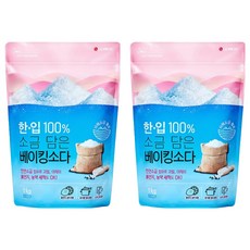 LG 生活健康 含鹽萬用小蘇打粉 1kg, 2包
