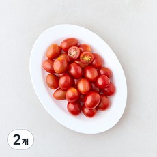 스윗마토 스테비아 망고향 대추방울토마토, 450g, 2개