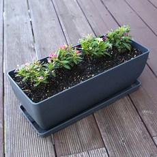 플라팜 직사각 화분 + 받침, 다크그레이, 1개