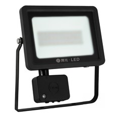 DANCELIGHT 舞光 感應泛光燈 30W 6500K 229 x 248 x 42mm 白光, 1個