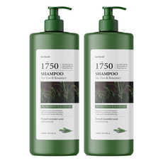 메르헨트 티트리 앤 로즈마리 대용량 샴푸 프렌치라벤더향, 1.5L, 2개