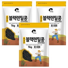 엉클탁 미국산 블랙렌틸콩 검정렌틸콩, 1kg, 3개