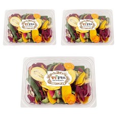 웰빙공작소 야채 과일 믹스 칩, 300g, 3개
