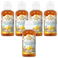 THE해담 프리미엄 자연 야생화 벌꿀, 500g, 5개