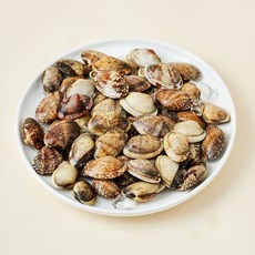 남해안 산지직송 자연산 생물 왕바지락 (냉장), 1.5kg, 1개