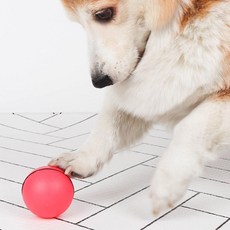 DING DONG PET 狗狗彈力球 6.4*6.4cm, 粉色, 1份