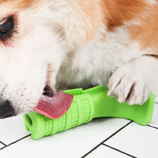 DING DONG PET Self 牙刷 M, 1個, 綠色