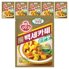 OTTOGI 不倒翁 百歲咖哩粉 原味, 100g, 6包
