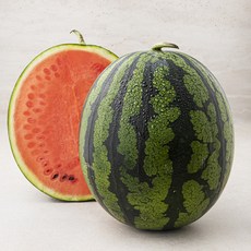 산지직송 당도선별 수박 (11 brix 이상), 5kg 이상, 1개