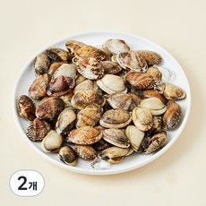 남해안 산지직송 자연산 생물 왕바지락 (냉장), 1.5kg, 2개