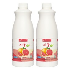 엔칸토 자몽 음료베이스, 2개, 1.8kg