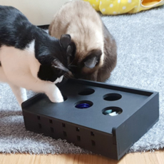 Healing Time 2in1 貓拳魔術盒玩具, 1個