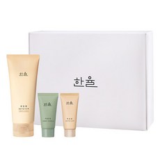 HANYUL 韓律 栗子角質毛孔清潔面膜 100ml+20ml+艾草舒緩泡沫潔面乳 15g, 1組