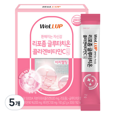 웰업 리포좀 글루타치온 콜라겐비타민C, 30회분, 5개