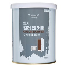 탐사 컬러 앤 커버 멀티 페인트 방문가구용, 화이트, 900ml, 1개