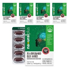 내츄럴플러스 포스파티딜세린 징코 브레인 60g, 60정, 5개 60정, 5개