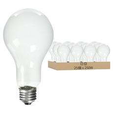 日亞 250W 磨砂燈泡 E-27燈帽 120V 台灣產, 25個